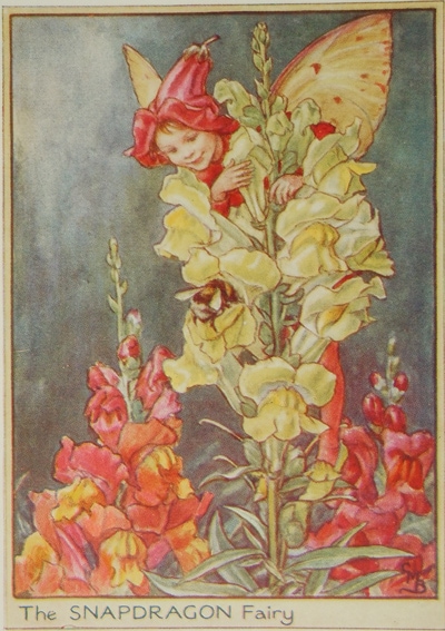 シシリー・メアリー・バーカー 挿画本「花の妖精・庭」 | | アトリエ