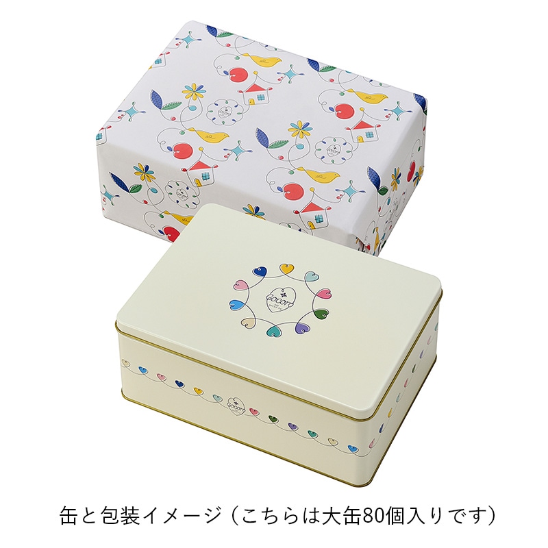 irodori-Cocoro ギフト中缶(55個入) 【B3221】 ｜商品詳細ページ