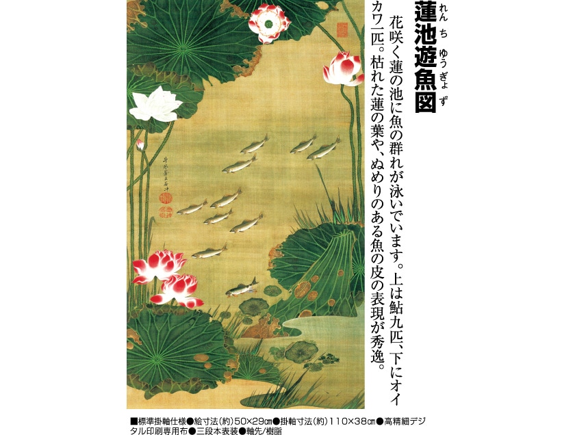 伊藤若冲 動植綵絵 蓮池遊魚図 掛軸 美術品 インテリア レプリカ