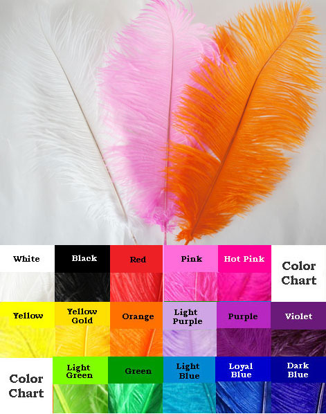 オーストリッチ羽Sサイズ(37～43cm)10本セット | オーストリッチ羽