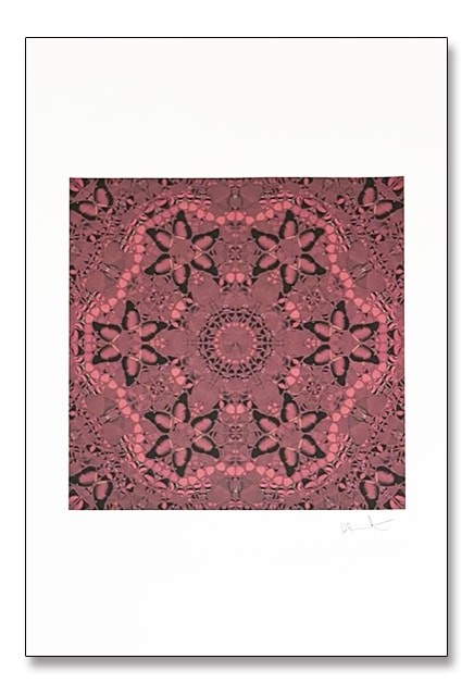 category | ポスター販売のアズポスター｜ポスター、アートポスター