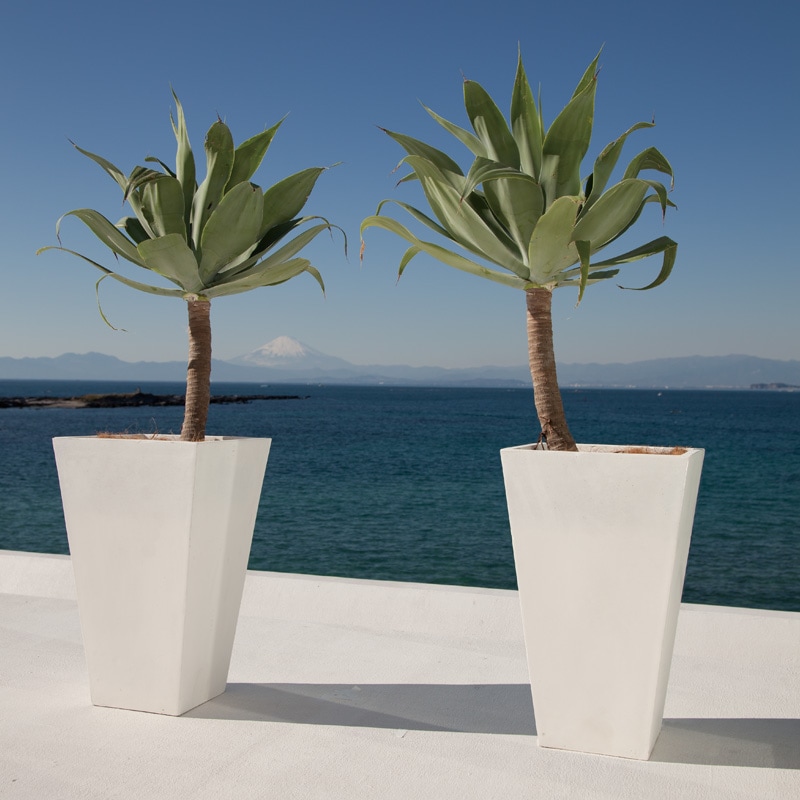 ゼータ スクエアトールプランター | ファイバークレイプロ | 植木鉢