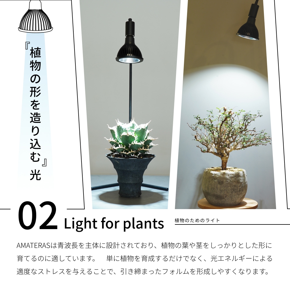 植物育成ライト専門店BARREL｜【NEO AMATERAS 20W】電球E26