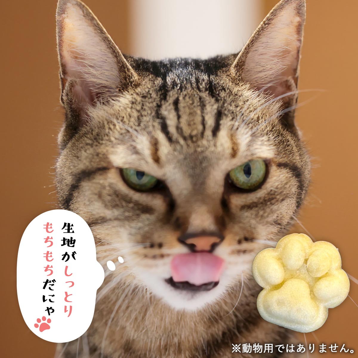 チョコっと肉球ベーグル＆わんべーセット(各2個ずつ計4個入り)【送料込