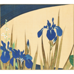 色紙〈四季花鳥図巻(夏)〉酒井抱一京都便利堂オンラインショップ