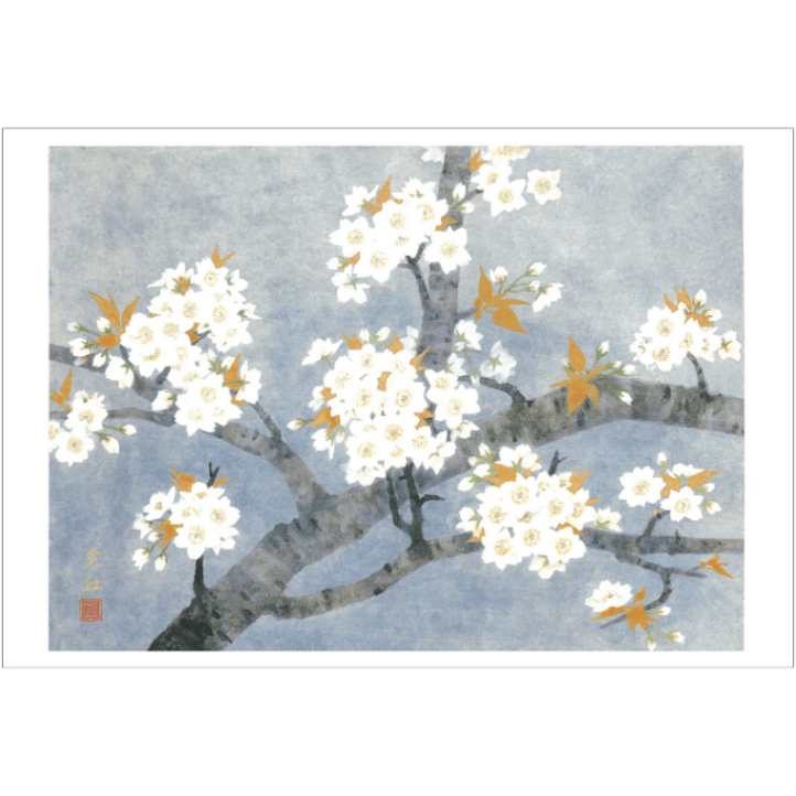 絵はがき〈御室の桜〉山本倉丘 NB-026京都便利堂オンラインショップ