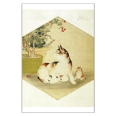 絵はがき〈猫の六毛撰〉歌川国芳 TB-001京都便利堂オンラインショップ