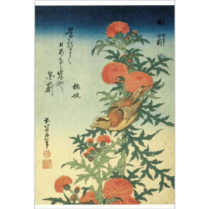 絵はがき〈鵙 小薊〉葛飾北斎 TB-020京都便利堂オンラインショップ