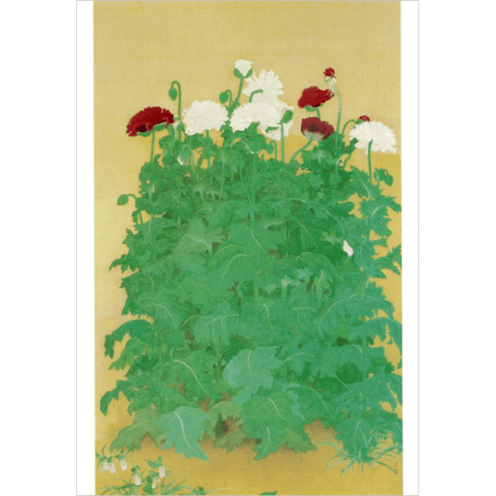 絵はがき〈芥子〉小林古径 T-045京都便利堂オンラインショップ