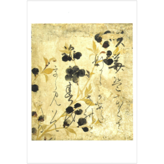 絵はがき〈桜山吹図より色紙部分〉書：本阿弥光悦 画：俵屋宗達 NA-151