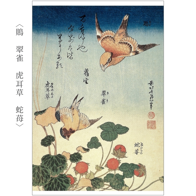 絵はがきセット〈葛飾北斎 花鳥画撰〉(10枚組)京都便利堂オンライン