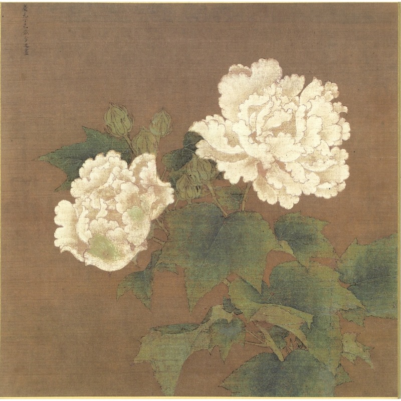 色紙〈国宝 紅白芙蓉図〉李迪京都便利堂オンラインショップ