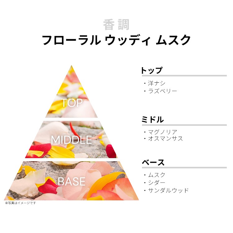 アモ フェラガモ パー レイ EDP 【お試し香水】 1ml SALVATORE