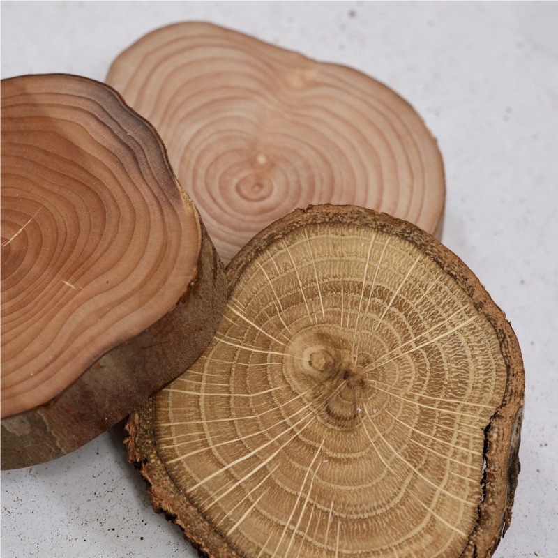 森の木工房」コースター | 新入荷商品 | | BONNAIL ONLINE