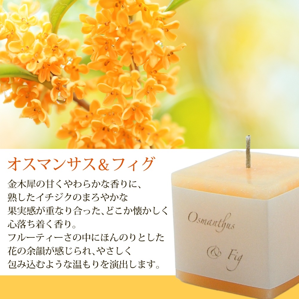 アロマキャンドル フレグランス キューブタイプ 6個入り