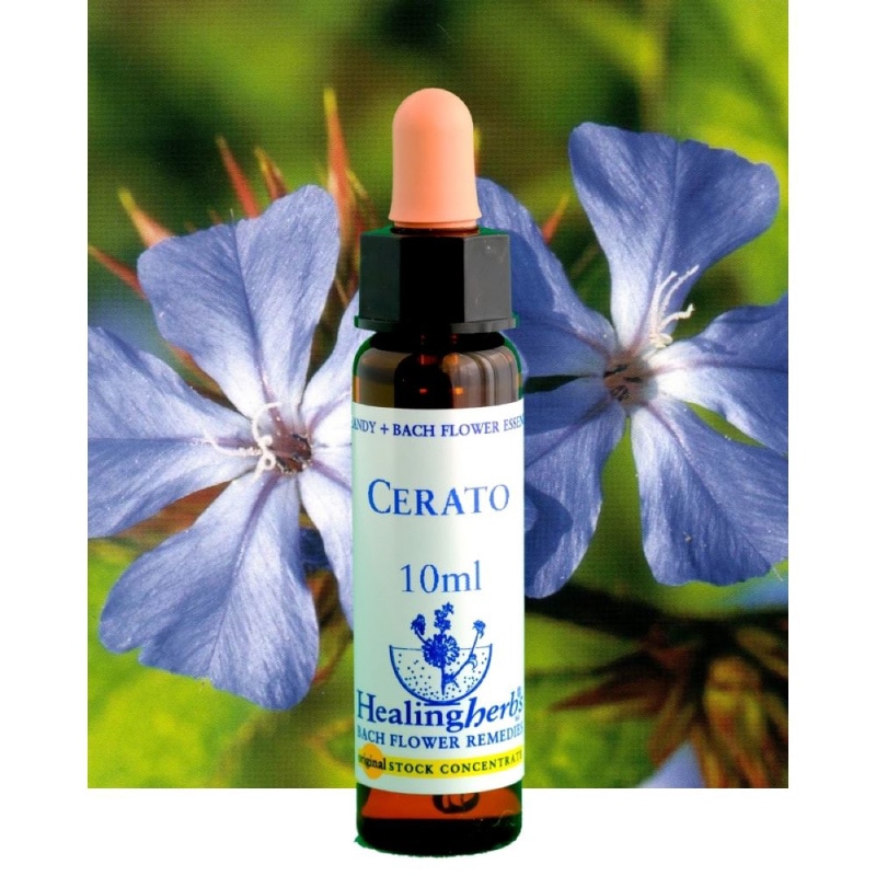 ヒーリングハーブス,フラワーエッセンス | カリス成城 WEB SHOP