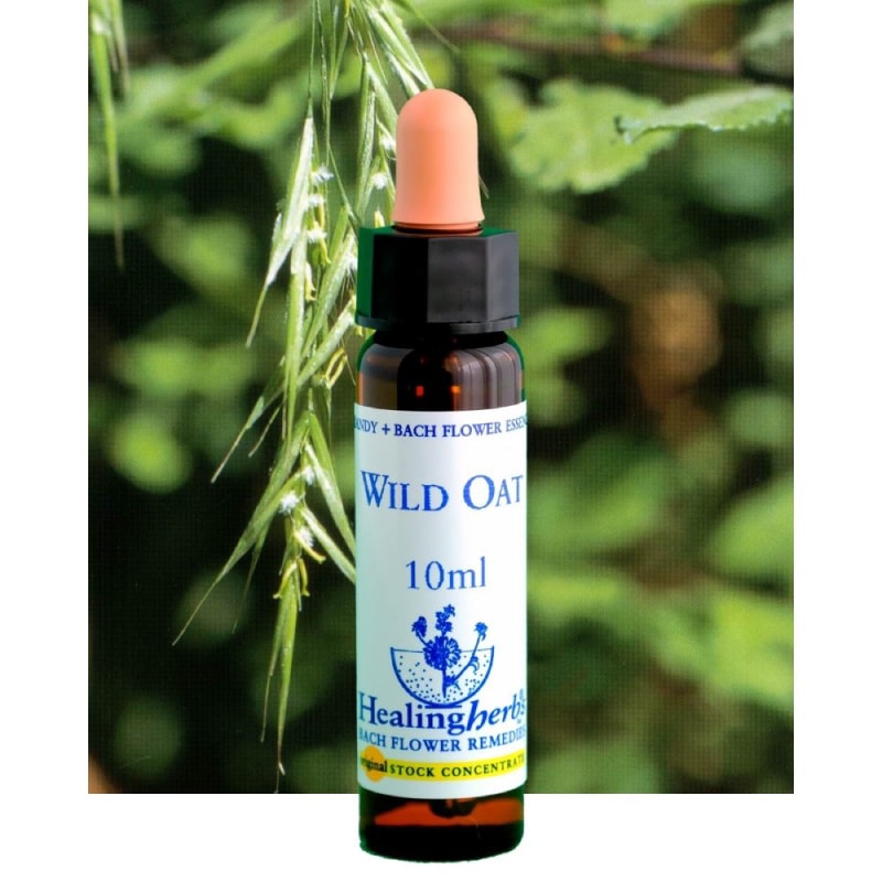 フラワーエッセンス 18 チェストナットバット [ヒーリングハーブス