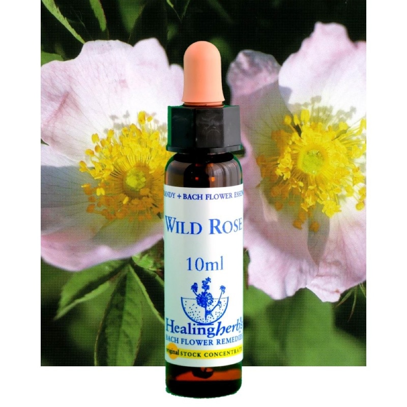 フラワーエッセンス 14 ワイルドローズ [ヒーリングハーブス] | カリス