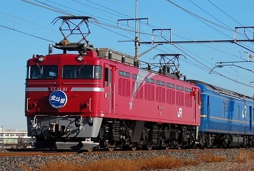 在庫〉#1-323 EF81-81 北斗星色【26%OFF】 | 【倉庫在庫16番】KATO