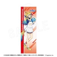 4月発送】ウマ娘 シンデレラグレイ B2ハーフタペストリー ROUND1コラボ