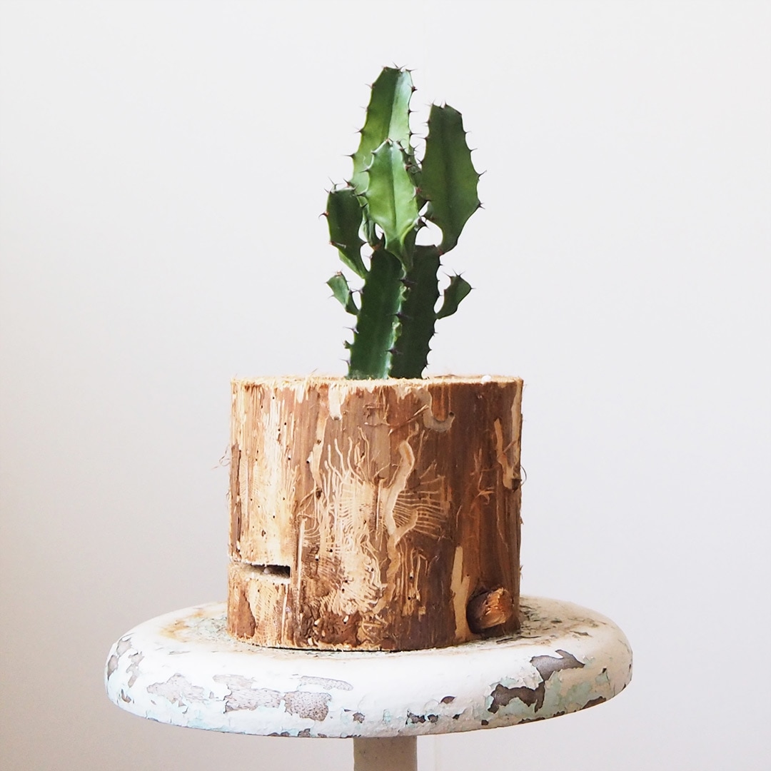 森のポット/丸太プランター | 木工房 moqu cOmo | 糸島くらし×ここのき