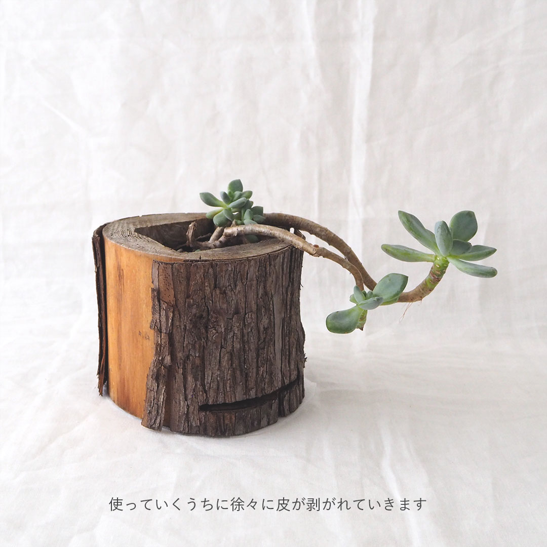 森のポット/丸太プランター | 木工房 moqu cOmo | 糸島くらし×ここのき