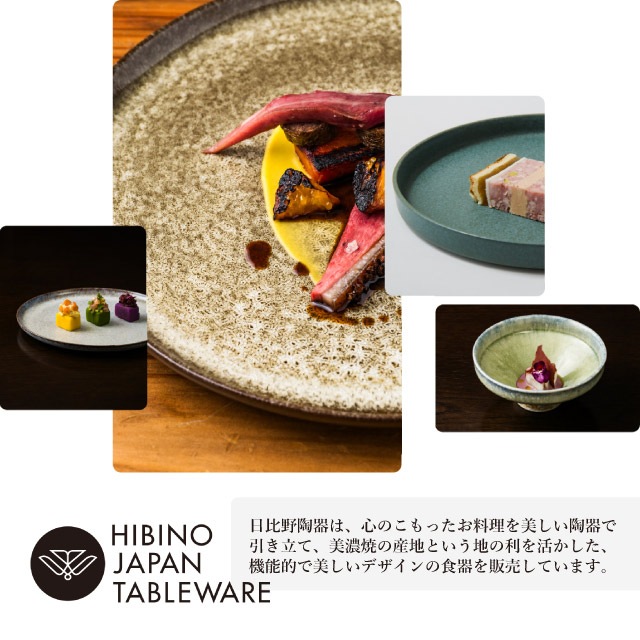 日比野陶器 ストーン 18cm プレート リッチホワイト 2個セット（H03