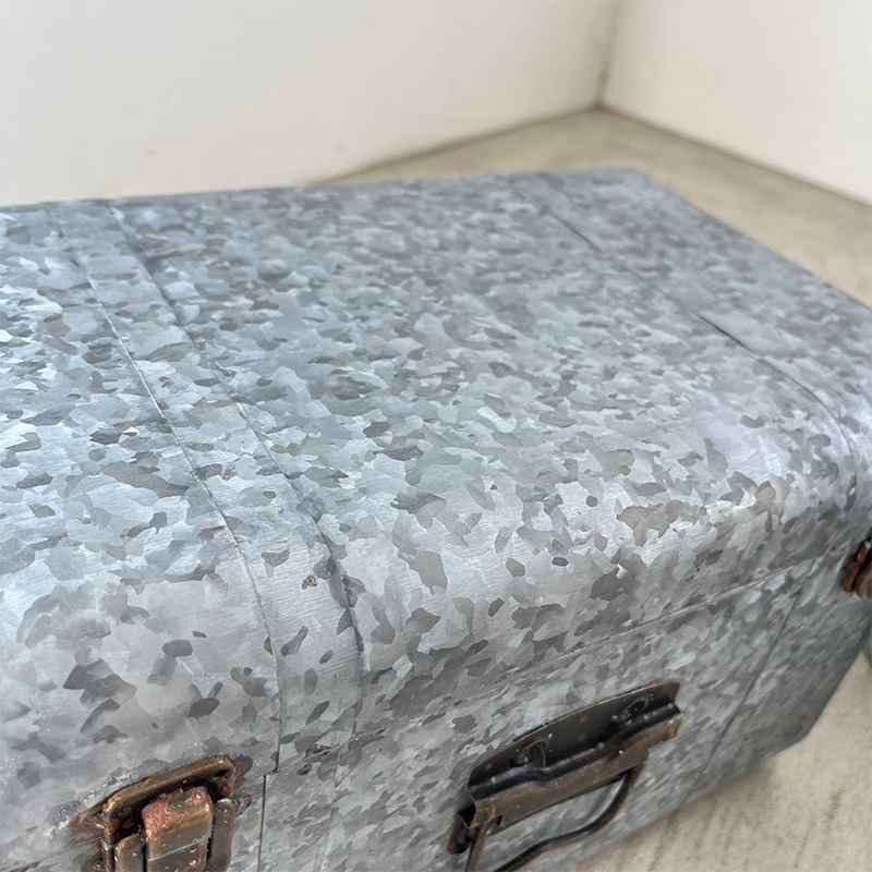 ベージ・トランクボックス L (S) | トランクボックス・収納 | COVENT