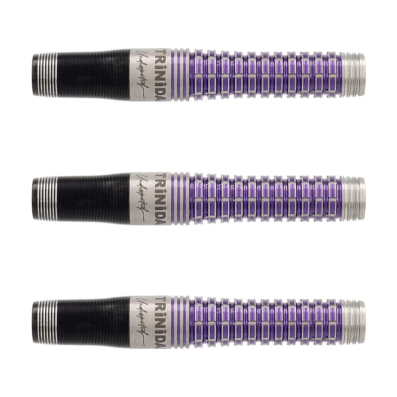 トリニダード ロメロ タイプ2 岩田夏海モデル 21g 他 セッティングパーツ ダーツ > ソフトダーツ > ブランド【タ行】 > トリニダード > PRO