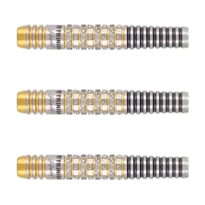 TRINIDAD リカルドロペス　浅田斉吾モデル ダーツ > ソフトダーツ > ブランド【タ行】 > トリニダード > Lopez