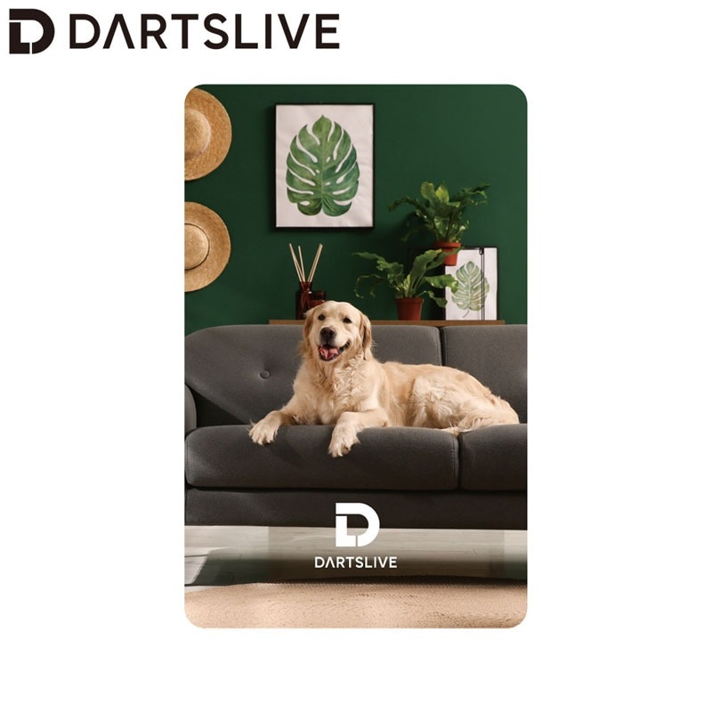 DARTSLIVE Jokerd カード アクセサリ > ダーツライブカード > DARTSLIVE CARD #059 ＜14