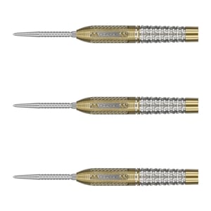 【ターゲット】バーニー25 レイモンド・ヴァン・バーナベルド スイスポイント バレル【ターゲット】バーニー25 レイモンド・ヴァン・バーナベルド