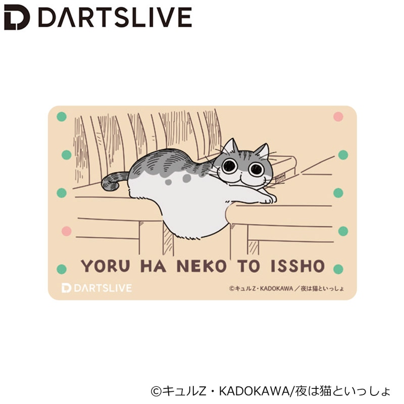 た*ん様 DARTSLIVE 限定カード 値下げ交渉可能 アクセサリ > ダーツライブカード > DARTSLIVE CARD #058 20枚セット