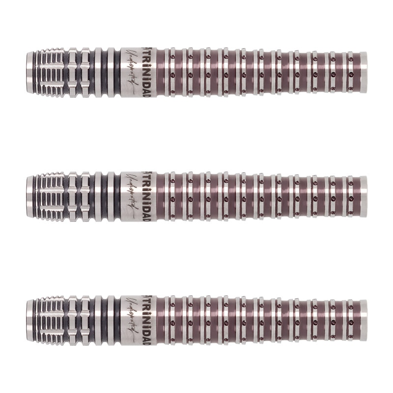 定価15400円 ソフトダーツ キッド エボ kid evo 投げやすい 定価15400円 ソフトダーツ キッド エボ kid evo 投げやすい - メルカリ