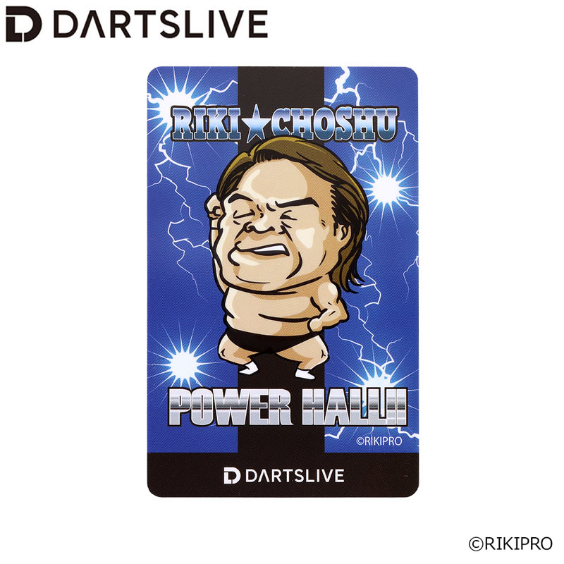 ミラーチカード ダーツライブカード アクセサリ > ダーツライブカード > DARTSLIVE CARD #056 ＜14