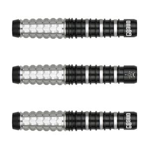 TRiNiDAD 2BA ジェームズ・ロー　タイプ4 トリニダードダーツ ダーツ > ソフトダーツ > ブランド【タ行】 > トリニダード > PRO