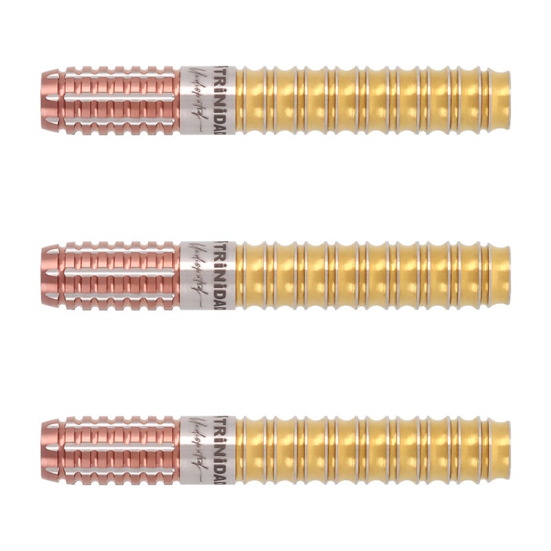 定価15400円 ソフトダーツ キッド エボ kid evo 投げやすい 定価15400円 ソフトダーツ キッド エボ kid evo 投げやすい - メルカリ