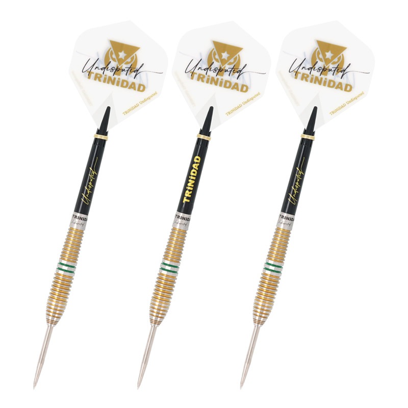 浅田斉吾 TRINIDAD Ricardo スティール　新品未使用 トリニダード RICARDO リカルド スティール22g 浅田斉吾選手 ハード