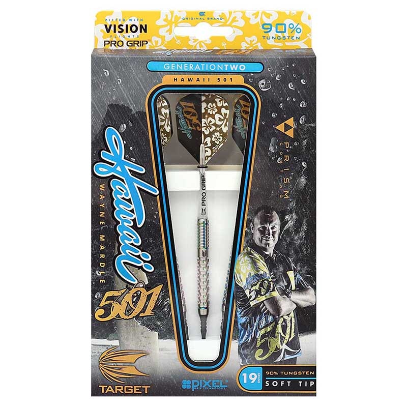 ターゲット　ウェインマーデル 24g スティール　美品 ダーツバレル【ターゲット】プロプレイヤー ウェイン・マーデルモデル