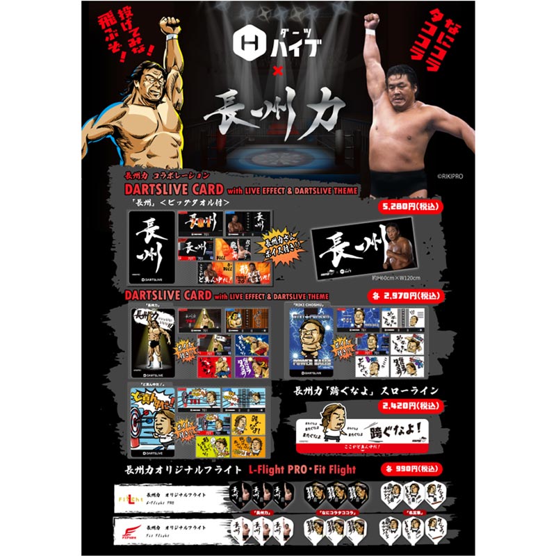 DARTSLIVE2 (チャンプ) DARTSLIVE2 【 ダーツライブ2 】 | 01 DARTS JAPAN