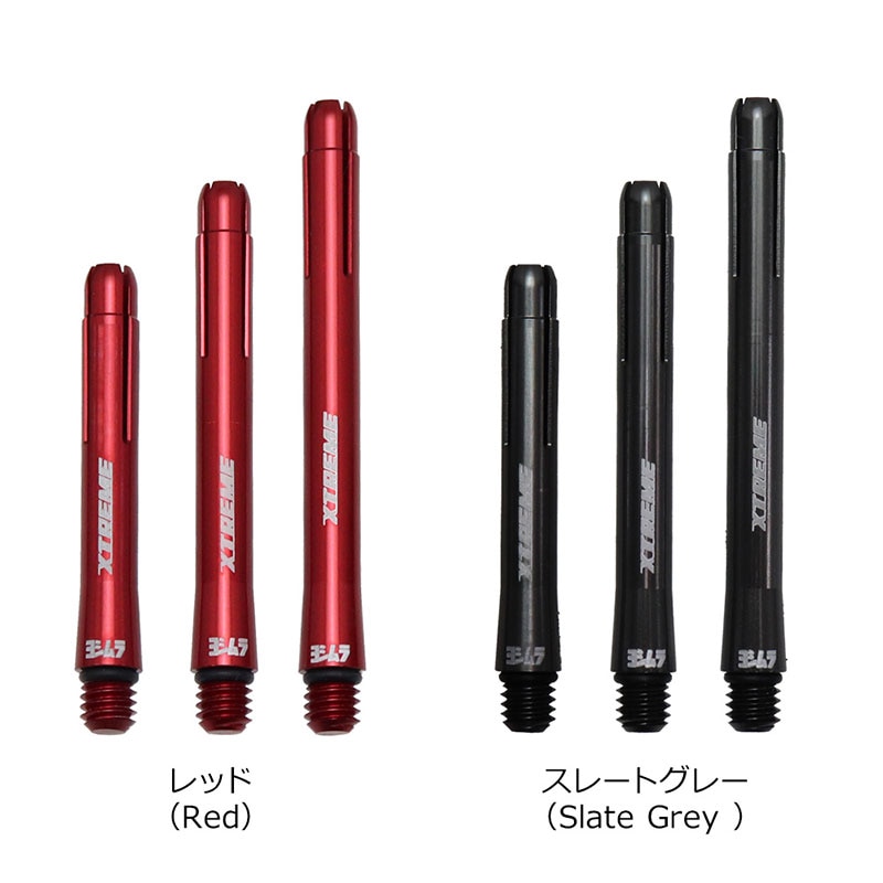 2_000000024484.jpg?1678209904