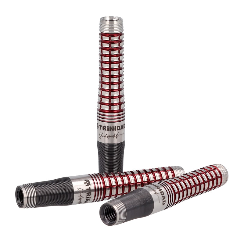 トリニダード　ロメロ　タイプ2 岩田夏海 トリニダード Romero2 ロメロ2 2BA19g 岩田夏海選手 ダーツ バレル