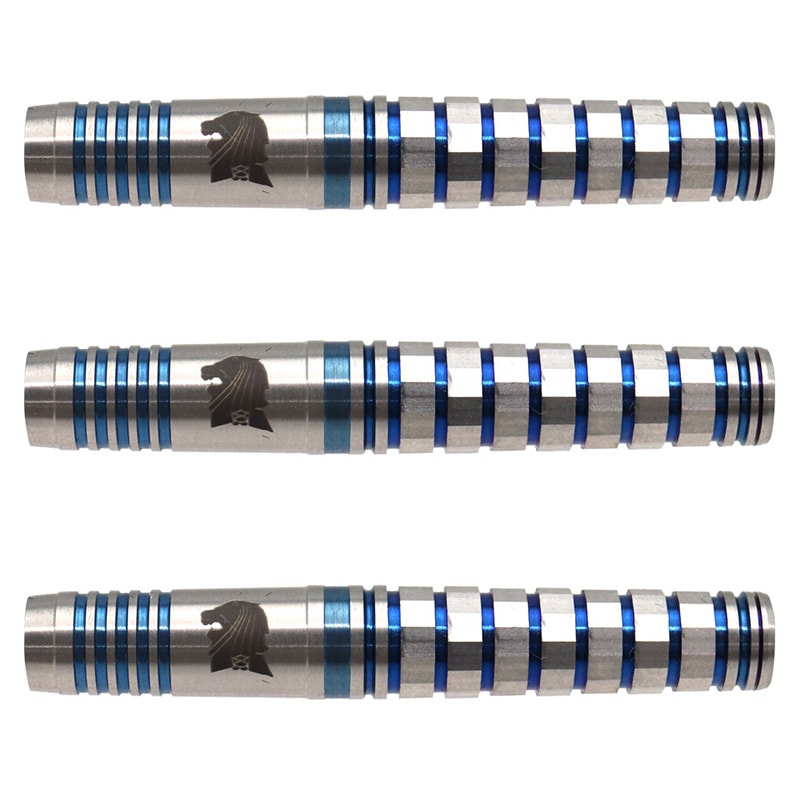 ポールリム選手モデル TARGET THE LEGEND G2 定価14055円 ダーツ > ソフトダーツ > ブランド【タ行】 > ターゲットジャパン