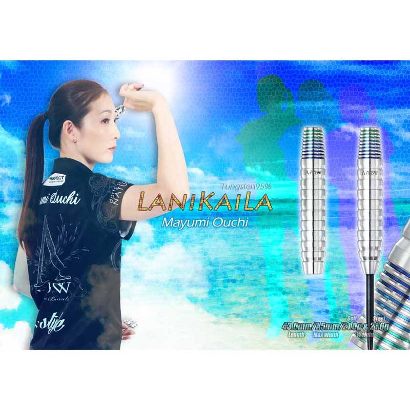 ダーツ DYNASTY A-FLOW LaniKaiLa DIND ダーツ > ソフトダーツ > ブランド【タ行】 > ダイナスティー > A FLOW