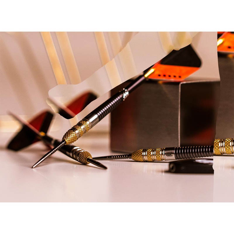 TARGET RVB G4 レイモンドヴァンバーナベルド 定価17000円 TARGET RVB