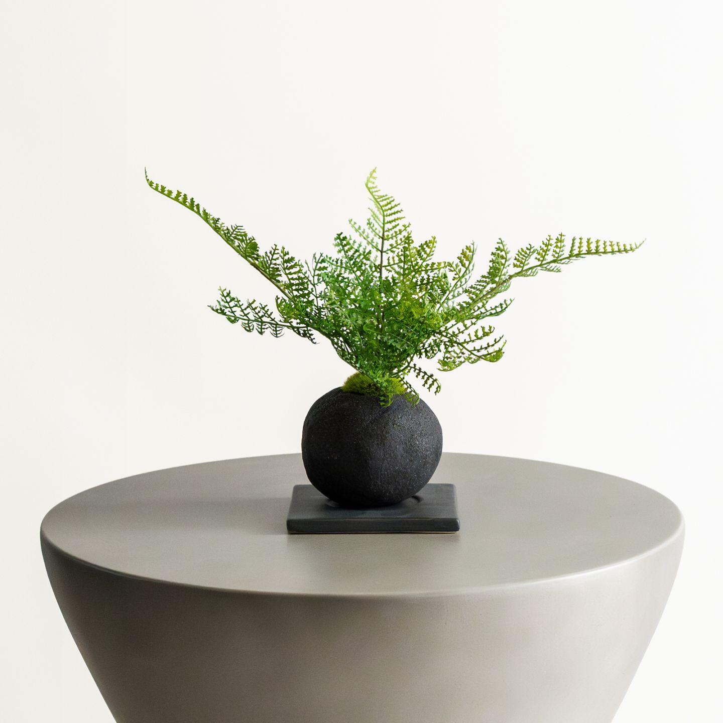 盆栽 一覧｜デコレラ公式通販