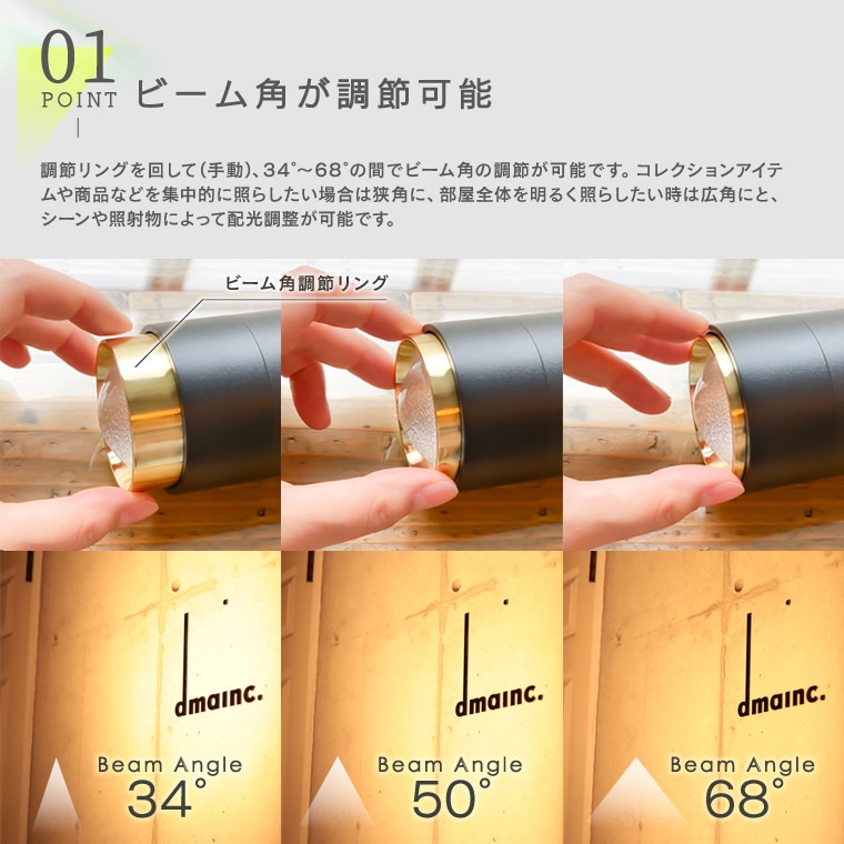 ビーム角調節タイプ】エジソンスマート スポットライト ゴールド_RST