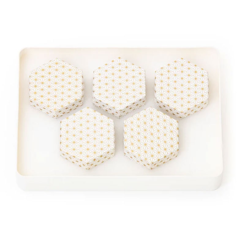 言玉手箱（コトタマテバコ） 龍宮 5個セット | 癒し・活力,ロゴス