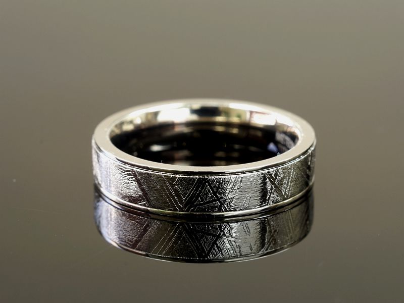 ギベオン隕石 リング・指輪 （ギベオン＋チタン）Type2｜最高級