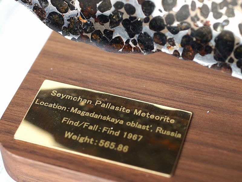 パラサイト隕石 プレート （ロシア セイムチャン） No.2 （鑑別書付
